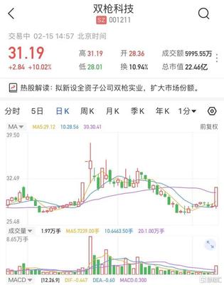 雙槍科技擬新設全資子公司雙槍實業，股價強勢漲停